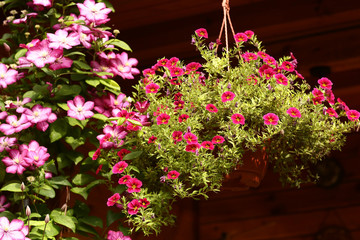 Fototapeta na wymiar flower basket hang on country house porch