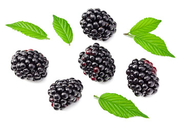 blackberries with leaves isolated on white background. top view. flat lay