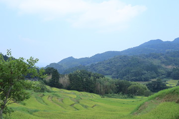 Scecery of boso peninsula ,japan,chiba