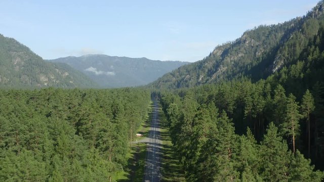 Aerial Drone View Flight over pine tree forest in Mountain at sunrise
