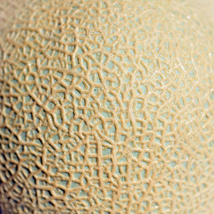 美しいエメラルド色のメロンの果皮表面。食べ物イメージ素材