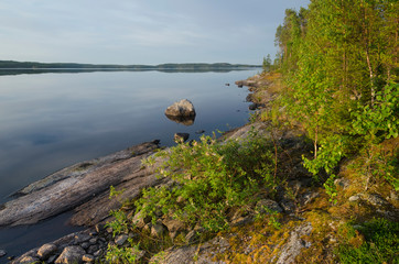 Lake shore in Karelia.