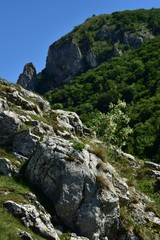 Fototapeta na wymiar steep rock with grass and green bushes