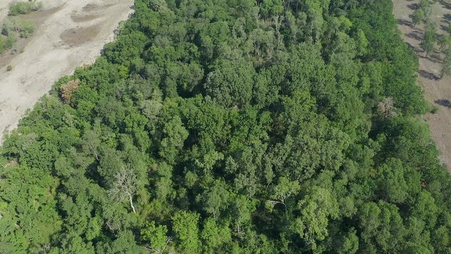 4K Aerial view over Letea Forest and sand dunes from Danube Delta Romania during a sunny day