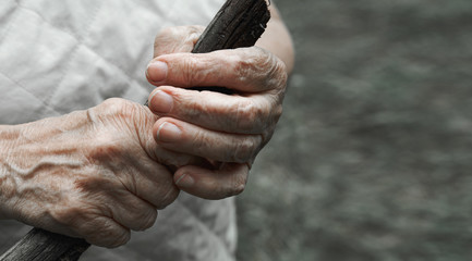 The old man's hands hold a walking stick. Close-up of wrinkled female hands.