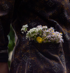 a bouquet of multicolored wildflowers in a pocket of a dark robe,work in the garden