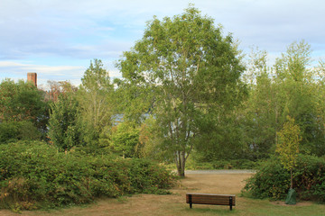 bench in the park