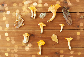 nature, environment and edible mushrooms concept - chanterelles on wooden background