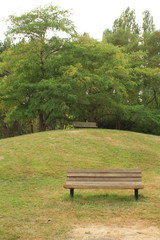 bench in the park