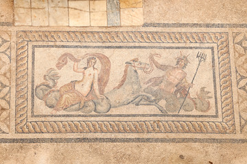 Nereid and Triton Mosaic in Terrace Houses, Ephesus Ancient City, Izmir, Turkey