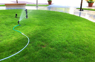 芝生とスプリンクラー