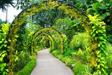 Fototapeten Schöne Aussicht auf die botanischen Gärten von Singapur in Australien © Jordan Adkins/Wirestock