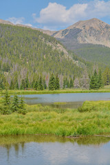 Fototapeta na wymiar Beautiful mountains, forest and landscape near Monarch Pass in the Rocky Mountains of Colorado 