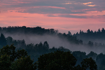 Fototapeta premium Wald im Abendrot
