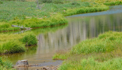 Beautiful mountains, forest and landscape near Monarch Pass in the Rocky Mountains of Colorado 
