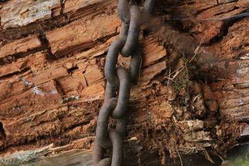 old rusty chain