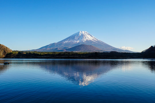 富士五湖　富士山