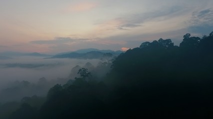 Dawn in mystical twilight of a tropical rainforest. Aerial drone flying forward through a magically calm and tranquil early morning jungle with mist and fog covering the wide hills, mountains, and val