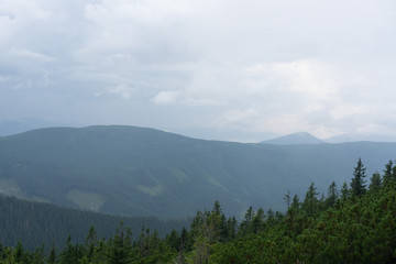 Landscape of the Carpathian ecosystem. Gorgany Region, Ukraine. Gorgany Nature Reserve is a unique Carpathian mountain region.