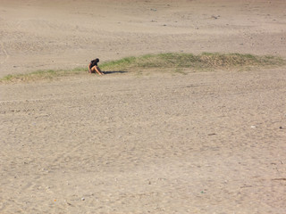 Alone over a grass patch in the sand