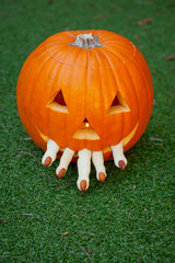 Halloween pumpkin head jack lantern with scary fingers cookies in a mouth on a grass background