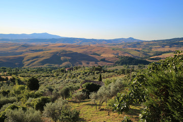 Fototapeta na wymiar Beautiful Tuscany Landscape, Val D'Orcia