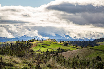 Naklejka premium view of forest glades and mountains beautiful panorama.