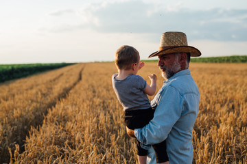 Naklejka na ściany i meble middle aged farmer holding his grandson standing on wheat field