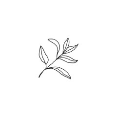 Fototapeta premium Vector hand drawn floral icon. A branch with leaves.