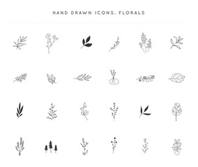 Set of vector hand drawn floral icons. Flowers and leaves. - 373869567