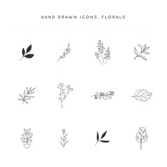 Flowers and leaves. Set of vector hand drawn floral icons.