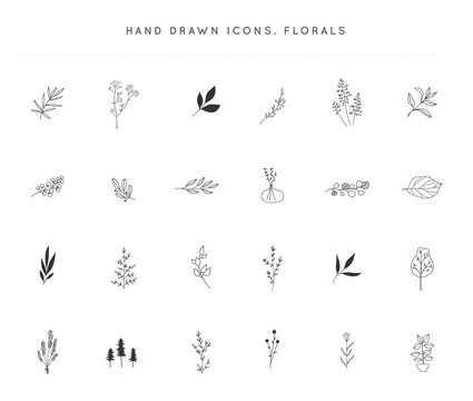 Set of vector hand drawn floral icons. Flowers and leaves.