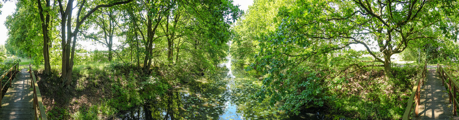 Fototapeta na wymiar Panorama mit Bach in der Mitte und Wegen an den Seiten mit grünen Bäumen