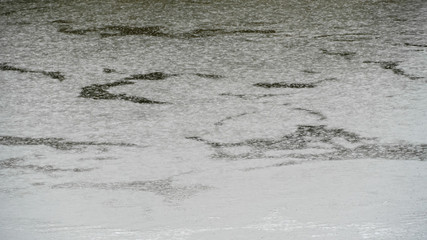 Drops of heavy rain on the water in the river.