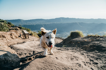 Mount Batur, Kintamani - Bali