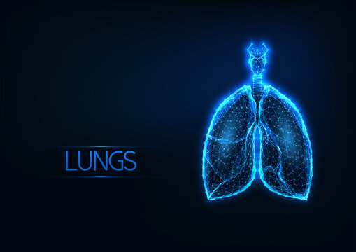 Futuristic Glowing Low Polygonal Anatomical Lungs Hologram On Dark Blue Background.