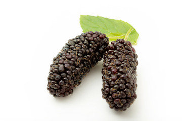 fresh and ripe mulberries background