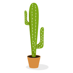 
Cactus potted plant flat icon, indoor decoration accessory  
