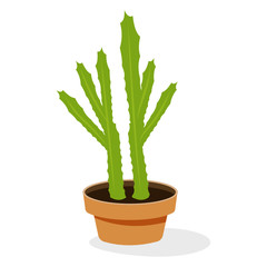 
Cactus potted plant flat icon, indoor decoration accessory  
