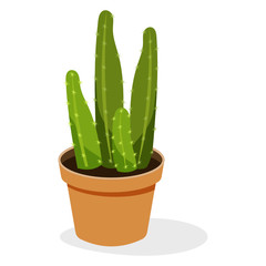 
Echeveria Potted plant  flat icon, evergreen decor  
