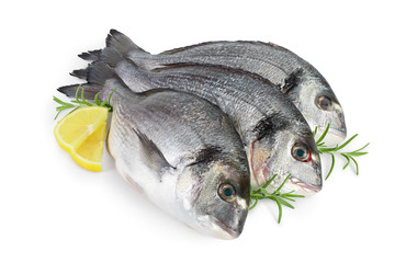 Fish dorado isolated on white background with clipping path and full depth of field.