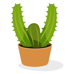 
Indoor opuntia plant in flat icon, ornamental plant  
