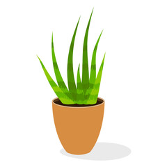 
Indoor wild potted plant in flat icon, indoor shrubs  
