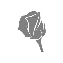 Rose Flower design vector illustration, Flower logo template