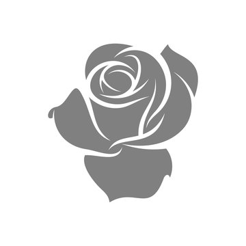 Rose Flower design vector illustration, Flower logo template
