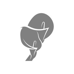 Rose Flower design vector illustration, Flower logo template