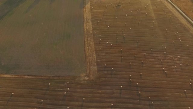 Hay Rolls In Harvested Agricultural Fields On A Sunny Evening At Sunset. Aerial Dolly-In Tilt-Up