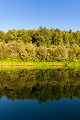 Fototapeta premium Siberian River Ob surrounded by Trees in Early morning in Russia in sunny weather during summer