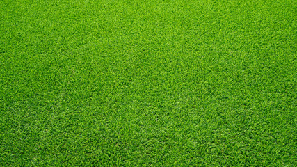 Artificial grass field meadow green. Top View Texture. 