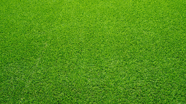Artificial grass field meadow green. Top View Texture. 